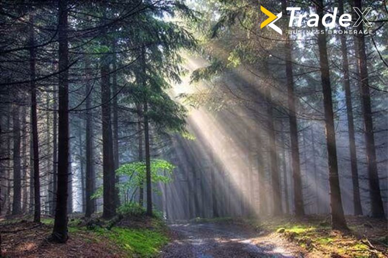 Afacere de vânzare în Brașov - Hotel profitabil situat în mijlocul naturii