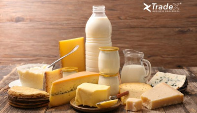 Milk factory, processing, production and sale of dairy products