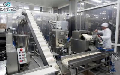 Food industry automation line and machine supplier
