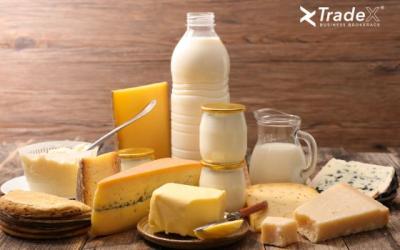 Milk factory, processing, production and sale of dairy products